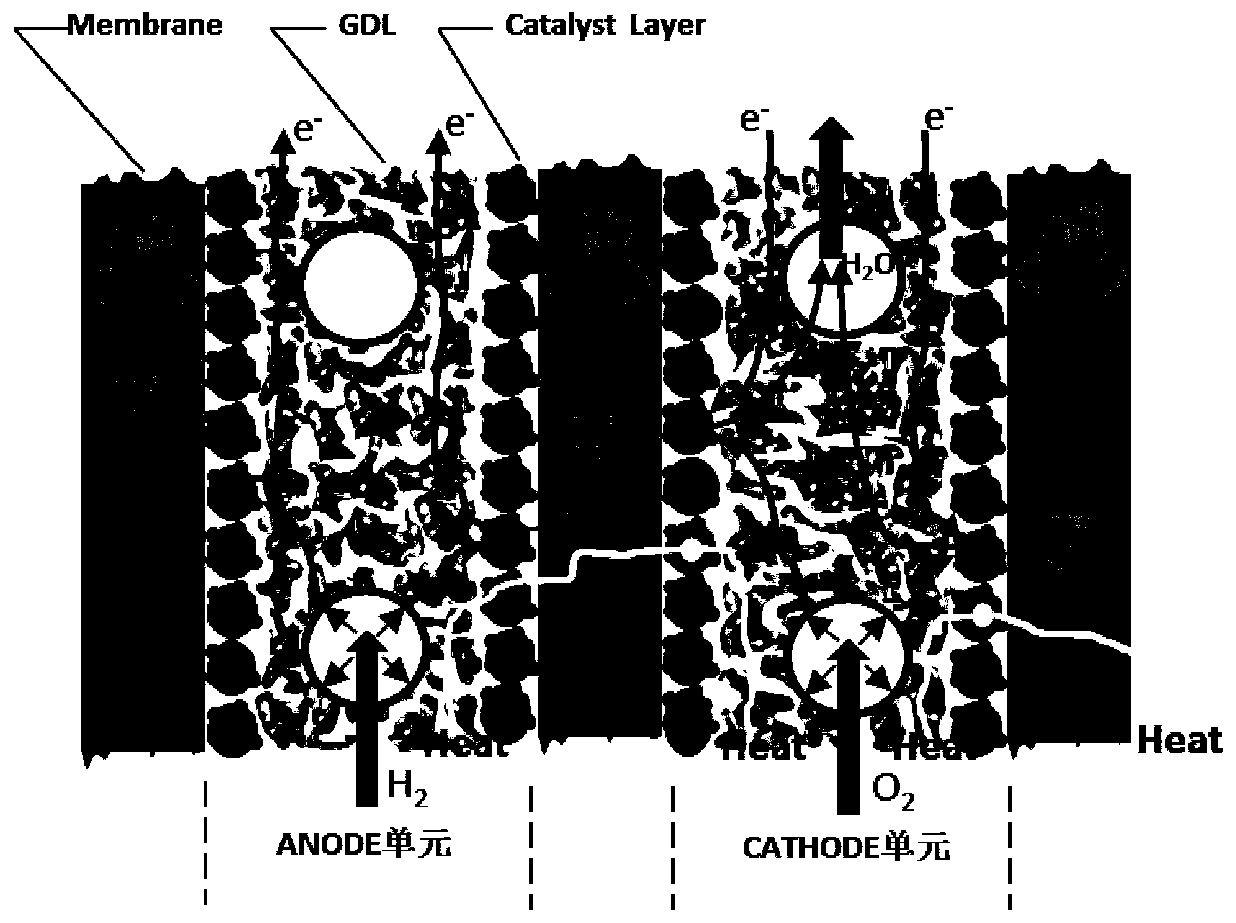 Novel proton exchange membrane fuel cell