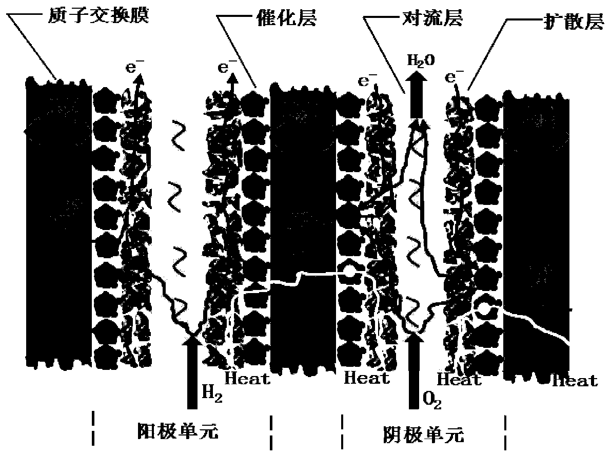 Novel proton exchange membrane fuel cell