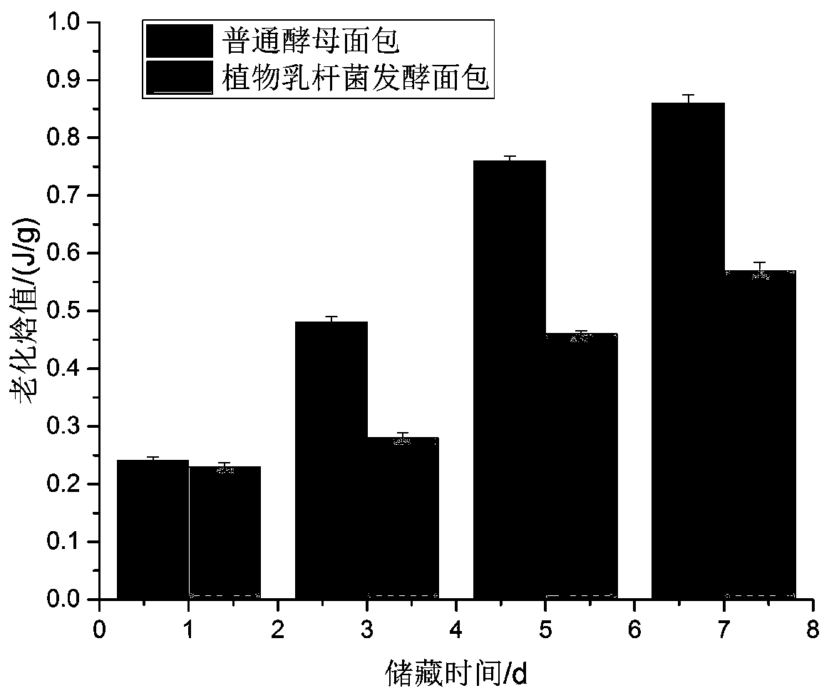 A strain of Lactobacillus plantarum and its application