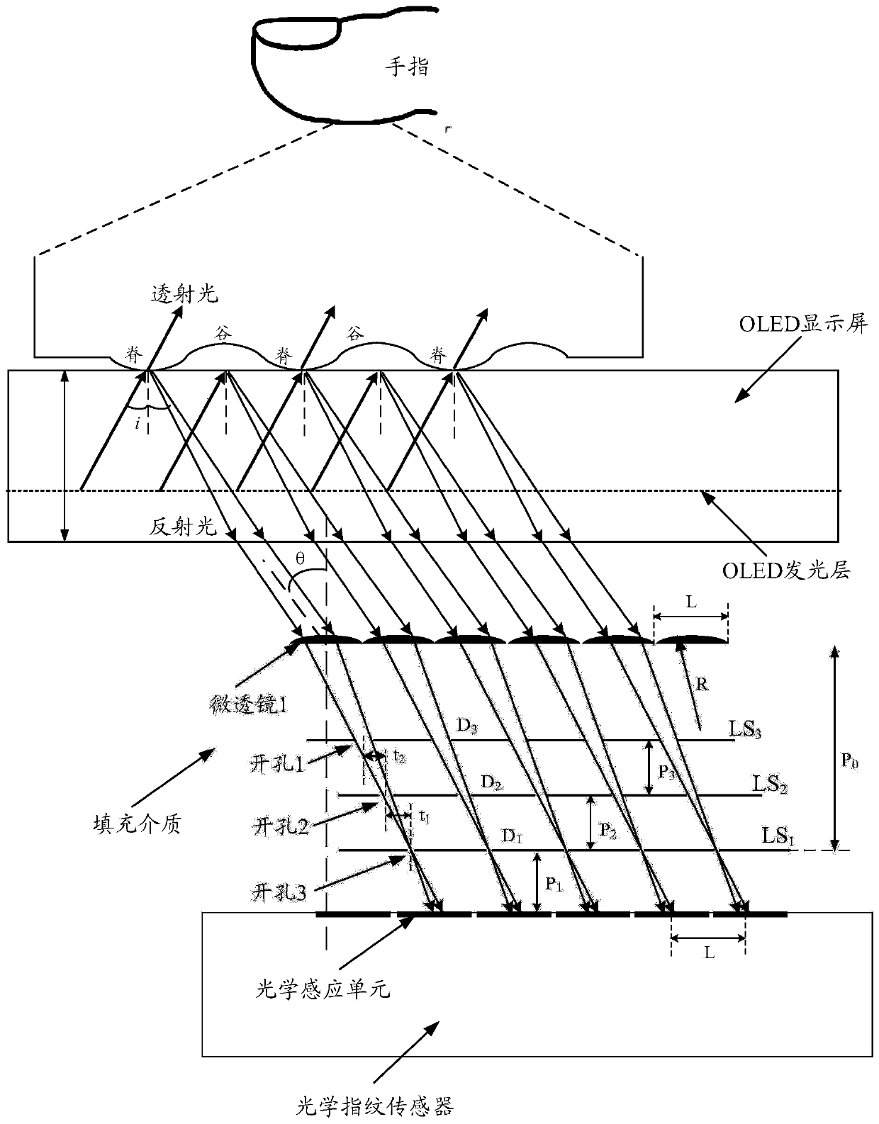 Fingerprint identification device and electronic device