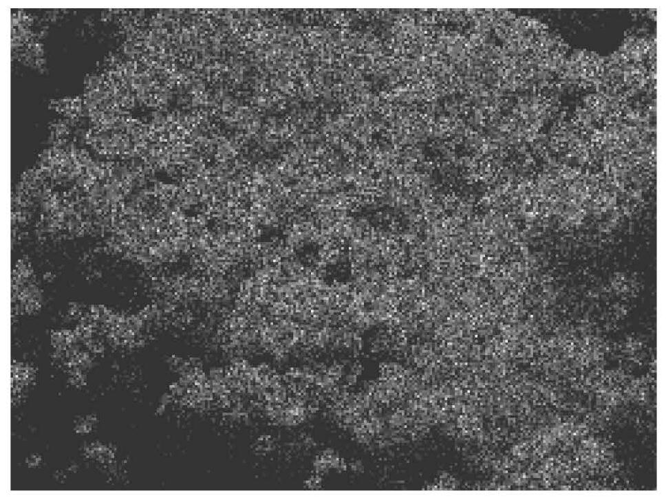 Rare earth doped long afterglow material and preparation method and application thereof