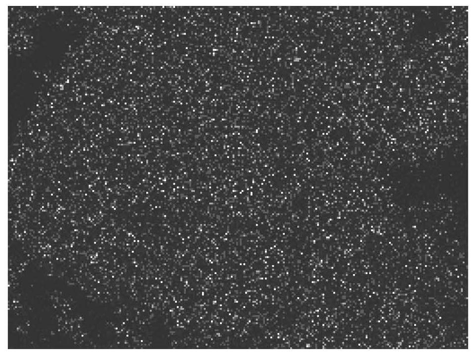 Rare earth doped long afterglow material and preparation method and application thereof