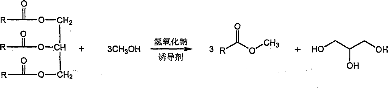 A method for synthesizing biodiesel in eutectic system induced in situ