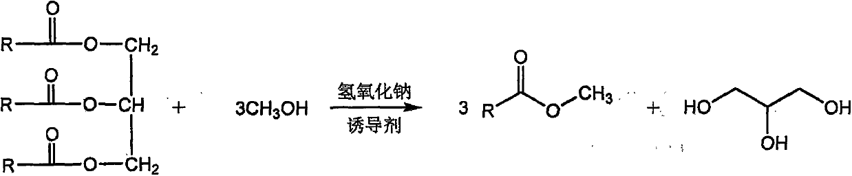 A method for synthesizing biodiesel in eutectic system induced in situ