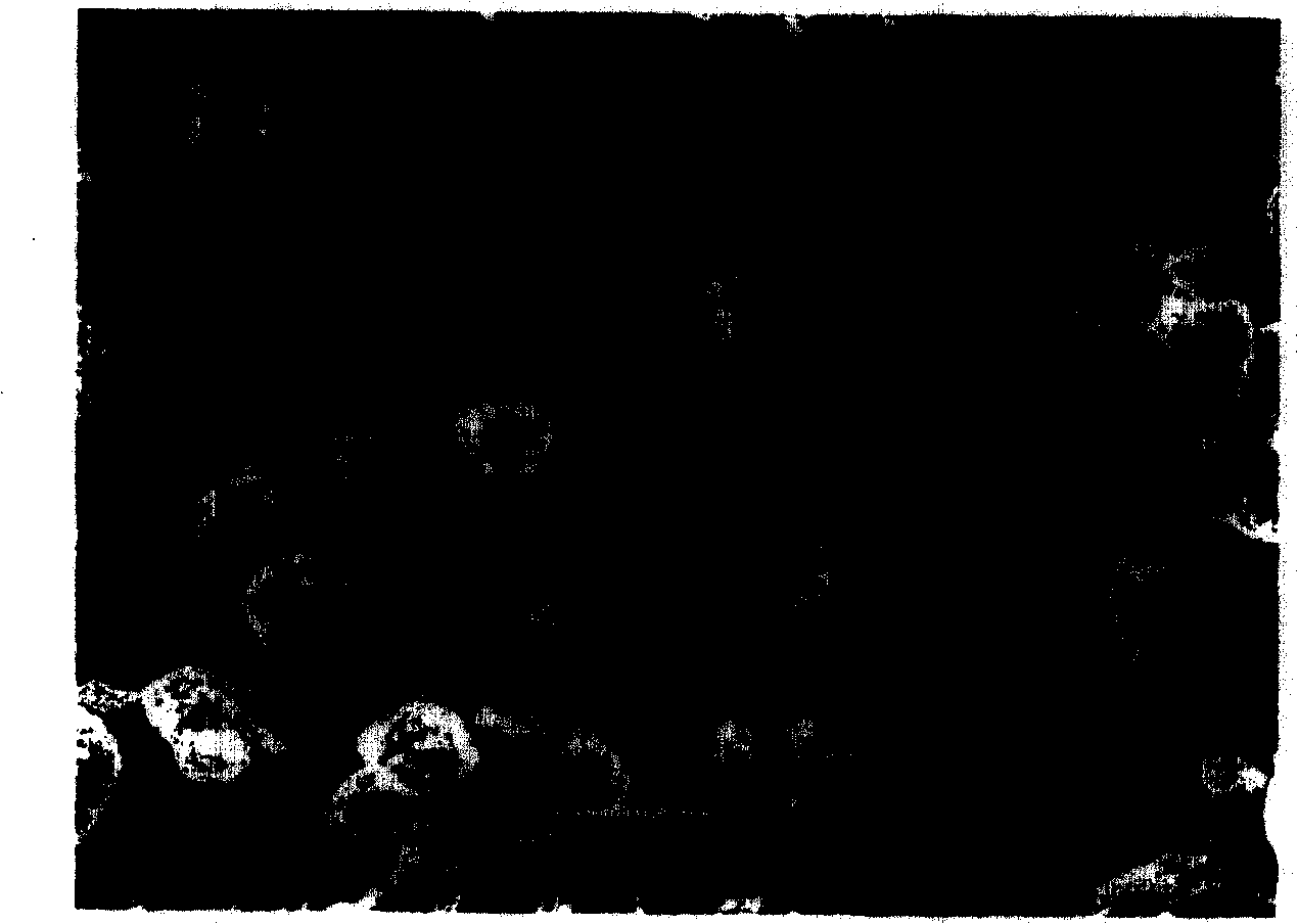 Preparing method of anode material of lithium cobalt, nickel, manganese, oxygen lithium ion battery