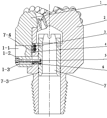 Drill bit with telescopic blades