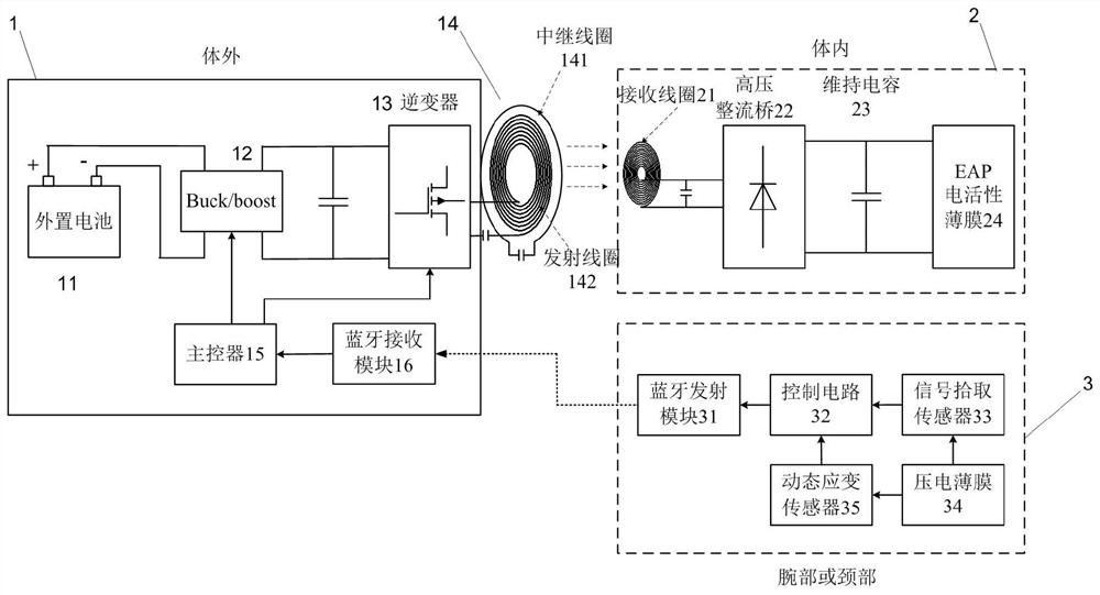 A wireless power supply system for dynamic heartbeat following control based on artificial blood supply film material