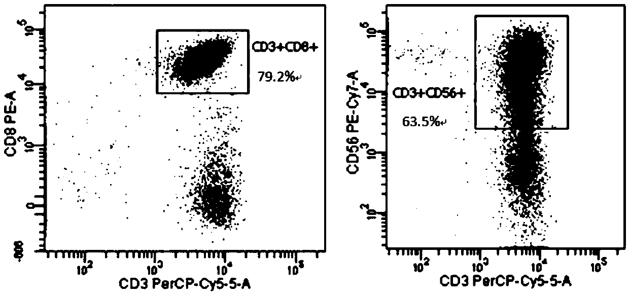 Reagent for inducing peripheral blood mononuclear cells into CIK cells and composition used by reagent