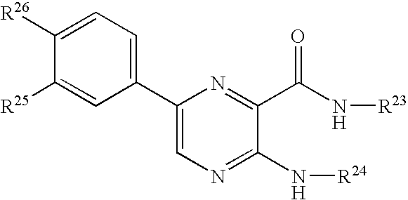 Protein kinase modulators and methods of use