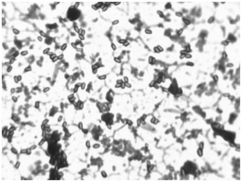 A fermentation process of Bacillus licheniformis and its use in the preparation of microbial agents and bio-organic fertilizers for preventing cucumber gray mold