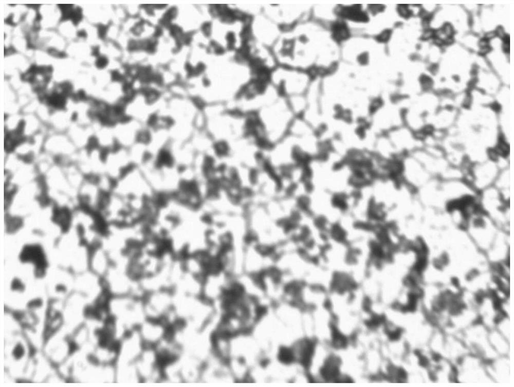 A fermentation process of Bacillus licheniformis and its use in the preparation of microbial agents and bio-organic fertilizers for preventing cucumber gray mold