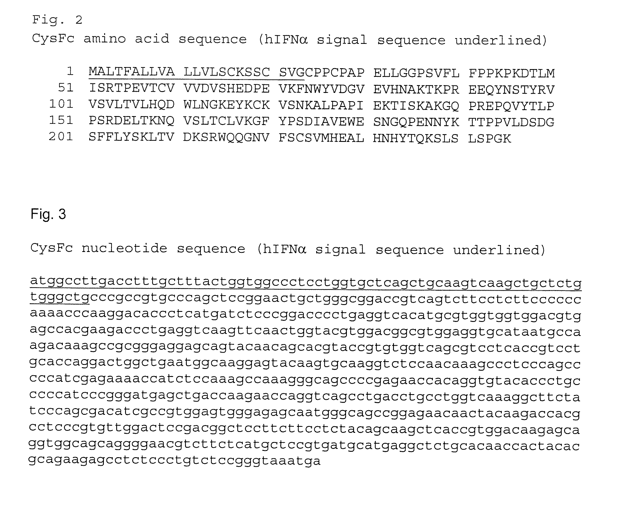 Methods for Chemically Synthesizing Immunoglobulin Chimeric Proteins