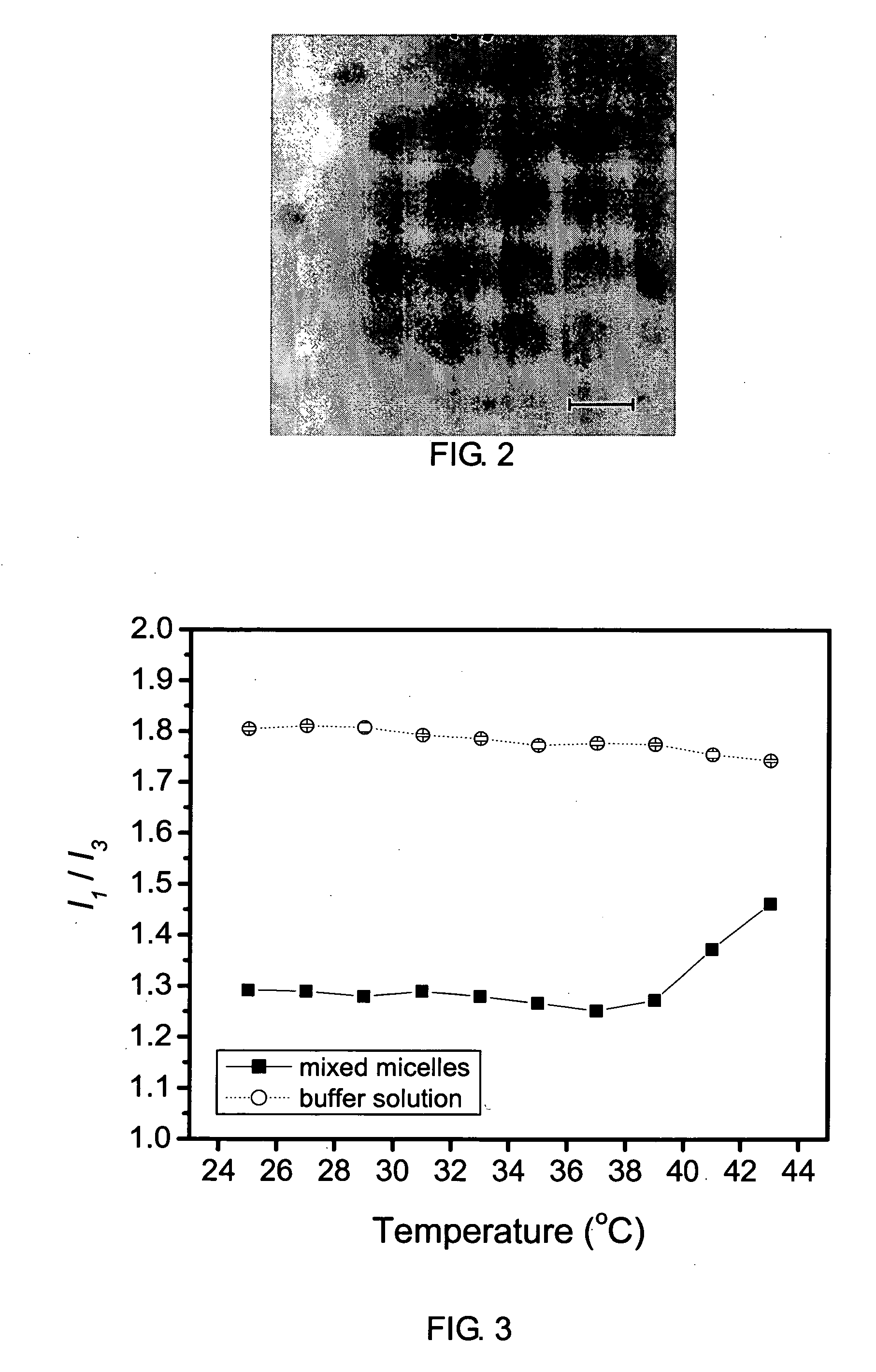 Multifunctional mixed micelle of graft and block copolymers and preparation thereof