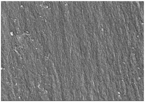 Preparation method of carbon tube coated magnetic material and magnetic oriented heat conduction material