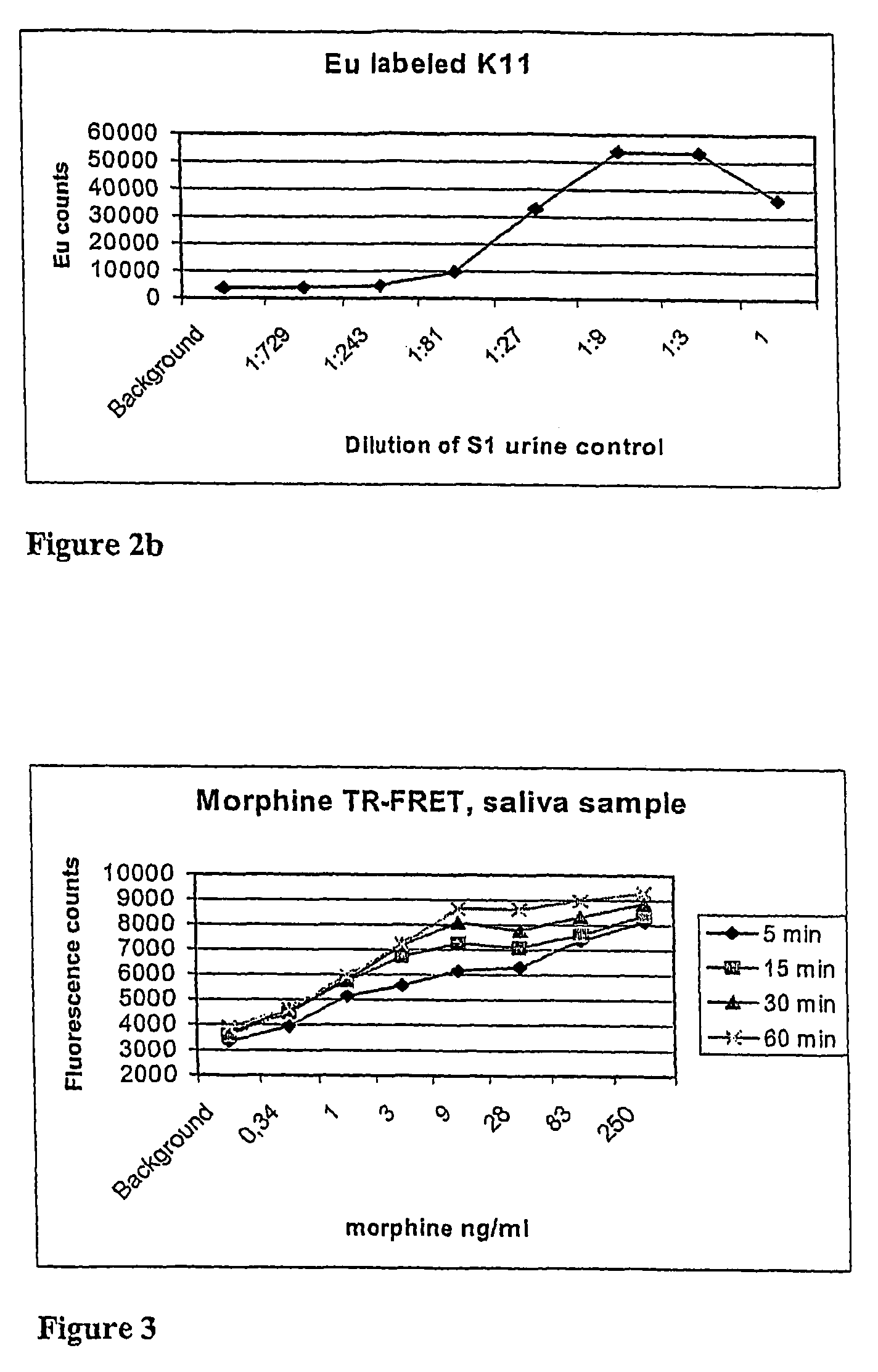 Non-competitive immunoassay for small analytes