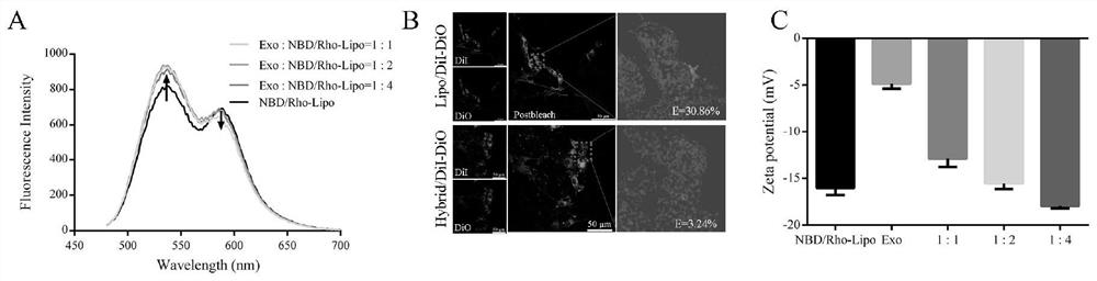 Targeting peptide modified traditional Chinese medicine multi-component exosome-like fusion nanoparticle as well as preparation method and application thereof