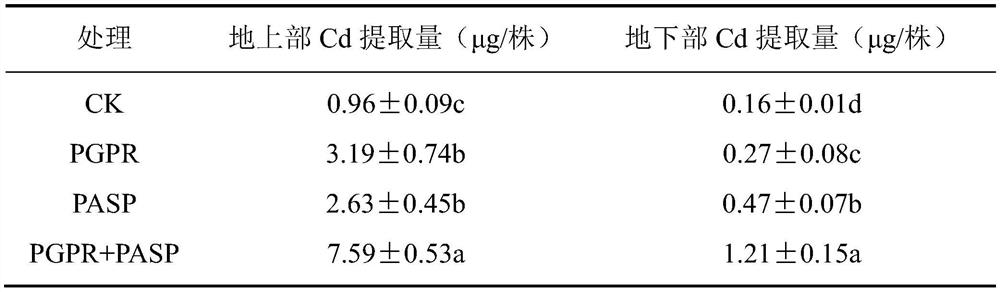 A method for remediating cadmium-contaminated soil