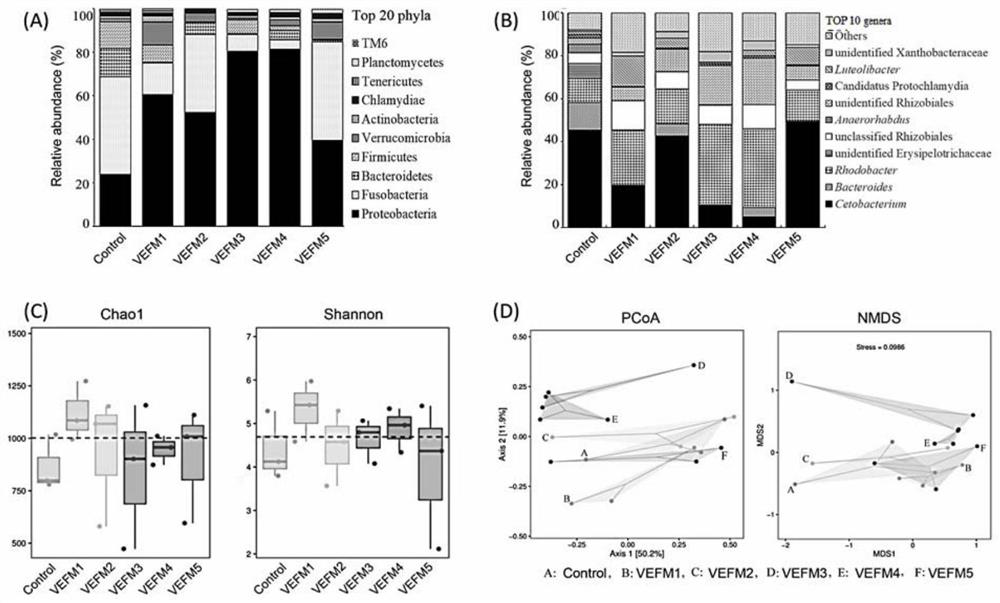 Method for establishing grass carp intestinal flora imbalance model