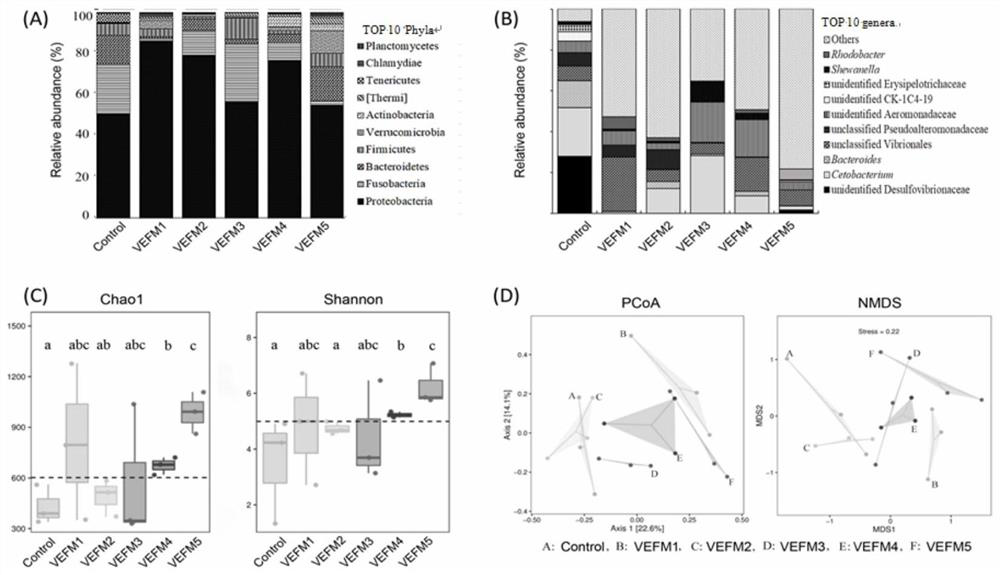 Method for establishing grass carp intestinal flora imbalance model