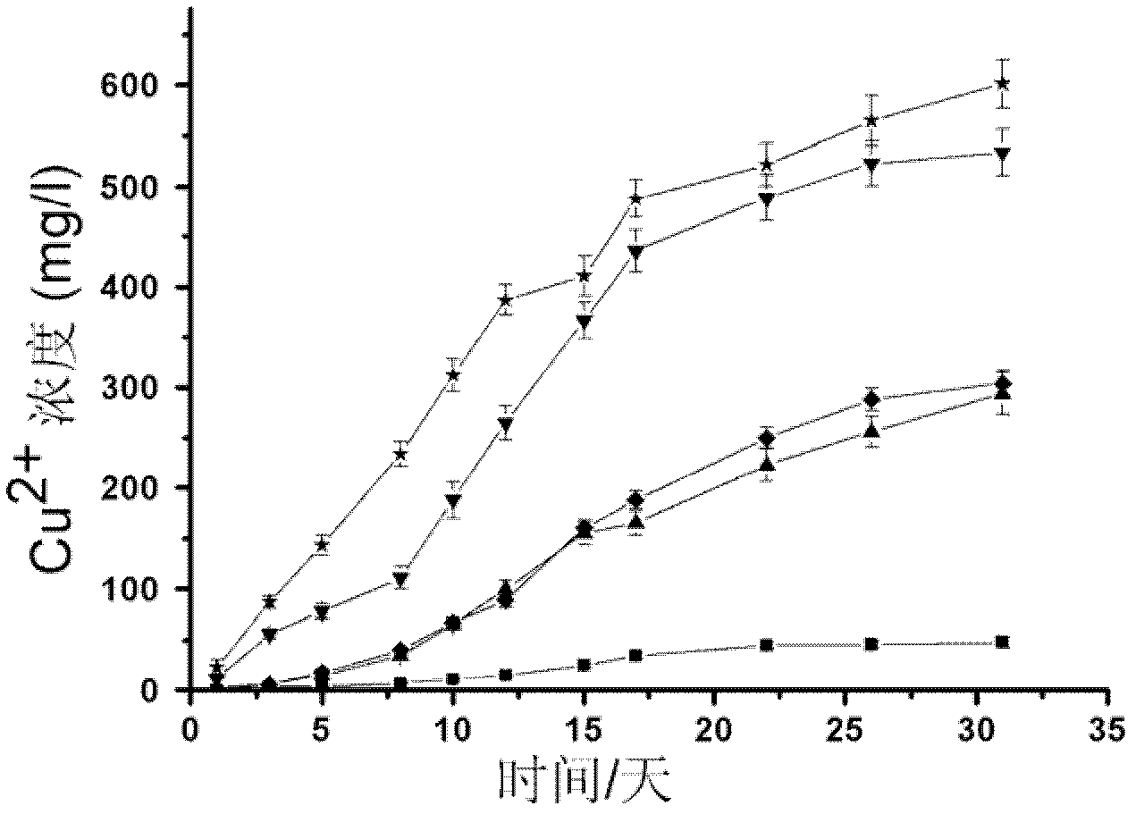 Extreme acidophilus thiobacillus and application of same in copper pyrite infusion