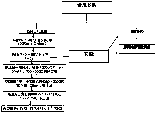 Bitter gourd polypeptide for inhibiting tumor cell proliferation as well as preparation method and application thereof