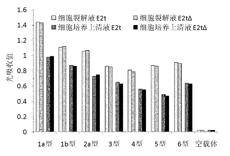 HCV envelope protein E2 with deleting hypervariable region 1 and use thereof