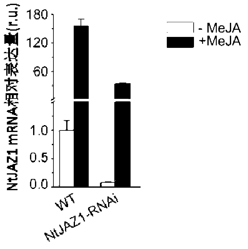 Gene capable of reducing nicotine content of tobacco and application thereof