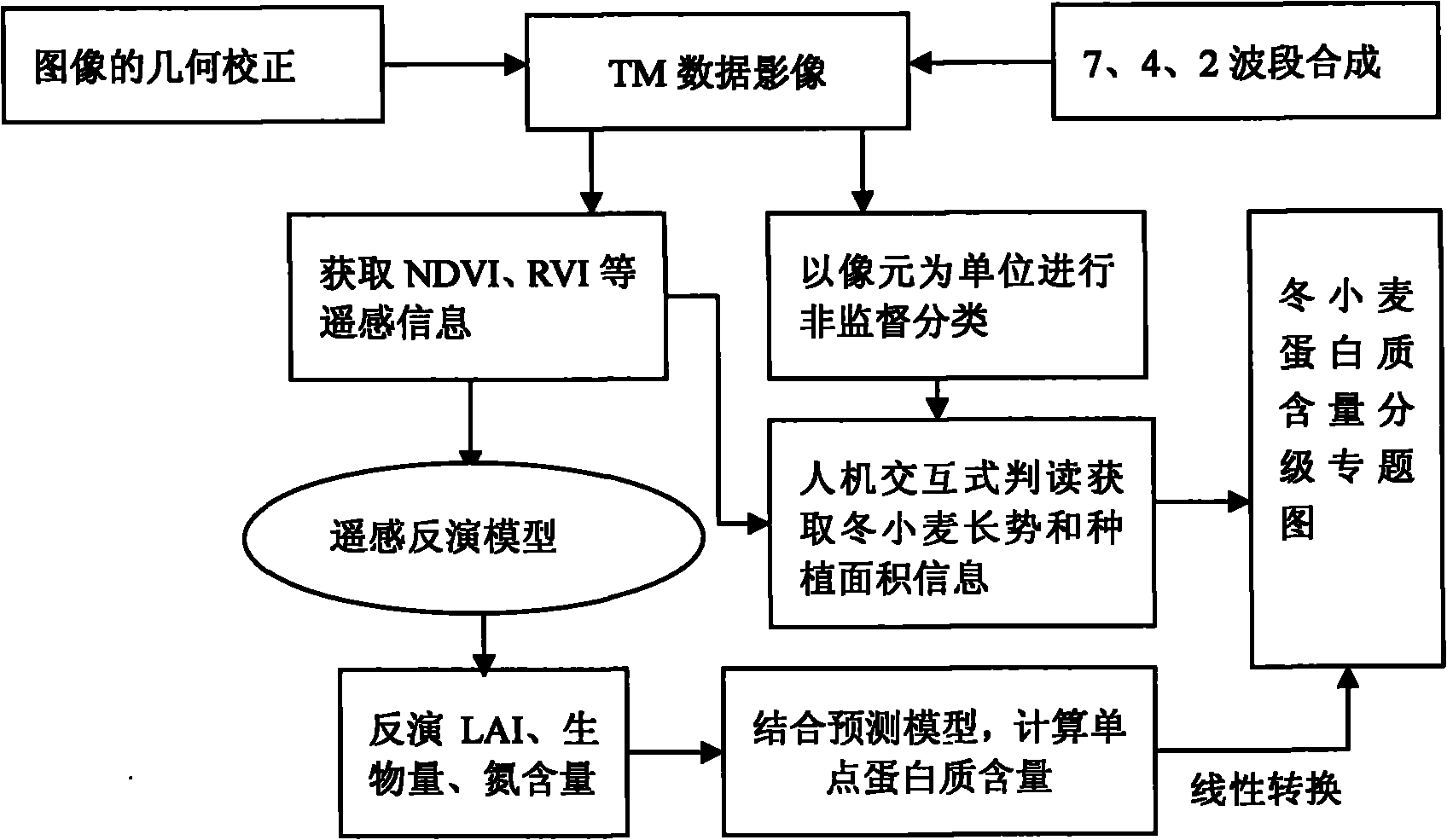 Method for remote sensing monitoring and predicting protein content of winter wheat grains