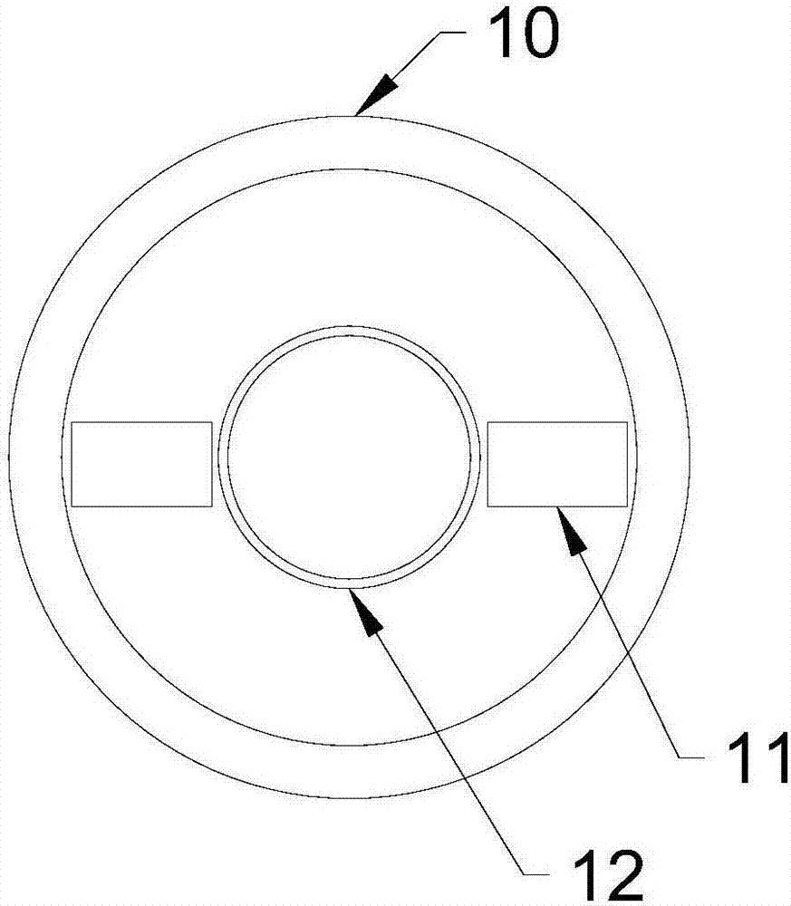 Pretreatment device for food detection