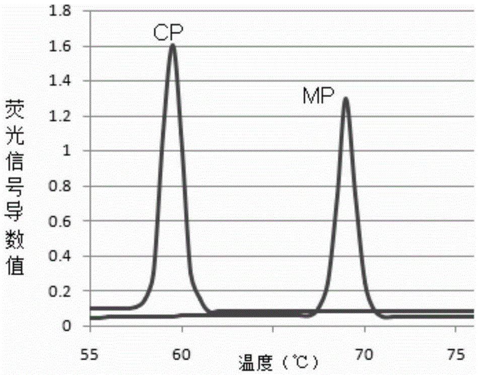 PCR (polymerase chain reaction) primer group, probe set and kit for detecting multiple respiratory pathogens