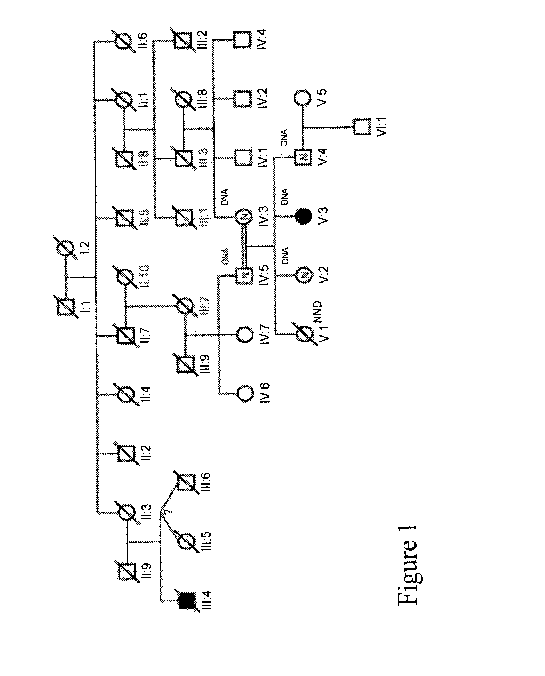 Methods for Identifying Analgesic Agents