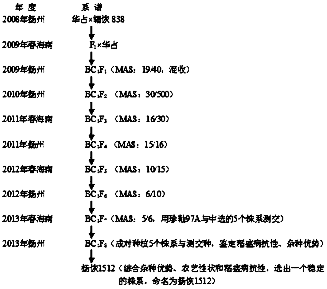 Selection method of rice-blast-resistant strong dominant hsien rice restorerlines