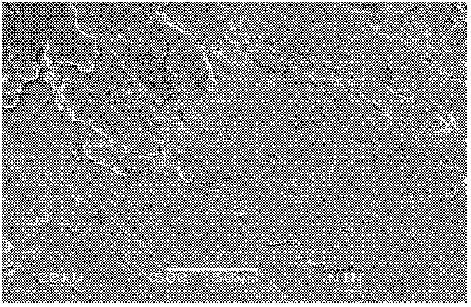 Method for improving surface quality of titanium and titanium alloy pipes and drawing die