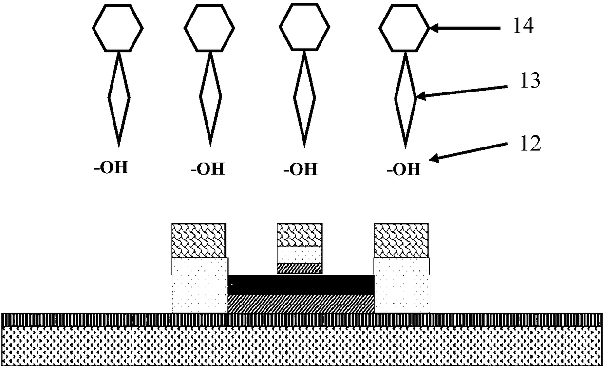 MOS-pipe-based double-grid-regulation ultra-high-sensitivity biosensor