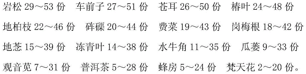 Traditional Chinese medicine preparation for treating viral meningitis and preparation method thereof