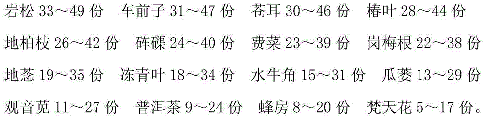 Traditional Chinese medicine preparation for treating viral meningitis and preparation method thereof