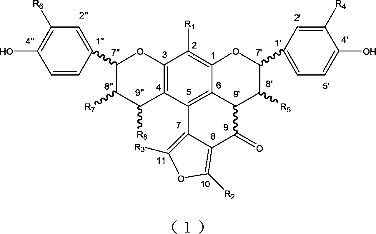 Traditional Chinese medicine extract for treating hepatitis B, and preparation method and application thereof