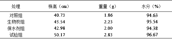 Biochar based water-retaining agent suitable for improving collapsing hill badland soil and promoting vegetation growth and preparation method of biochar based water-retaining agent