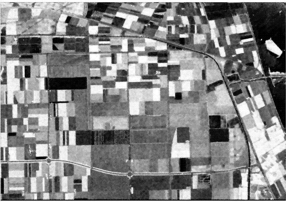 Polarized SAR (Specific Absorption Rate) image classifying method based on super-vector coding