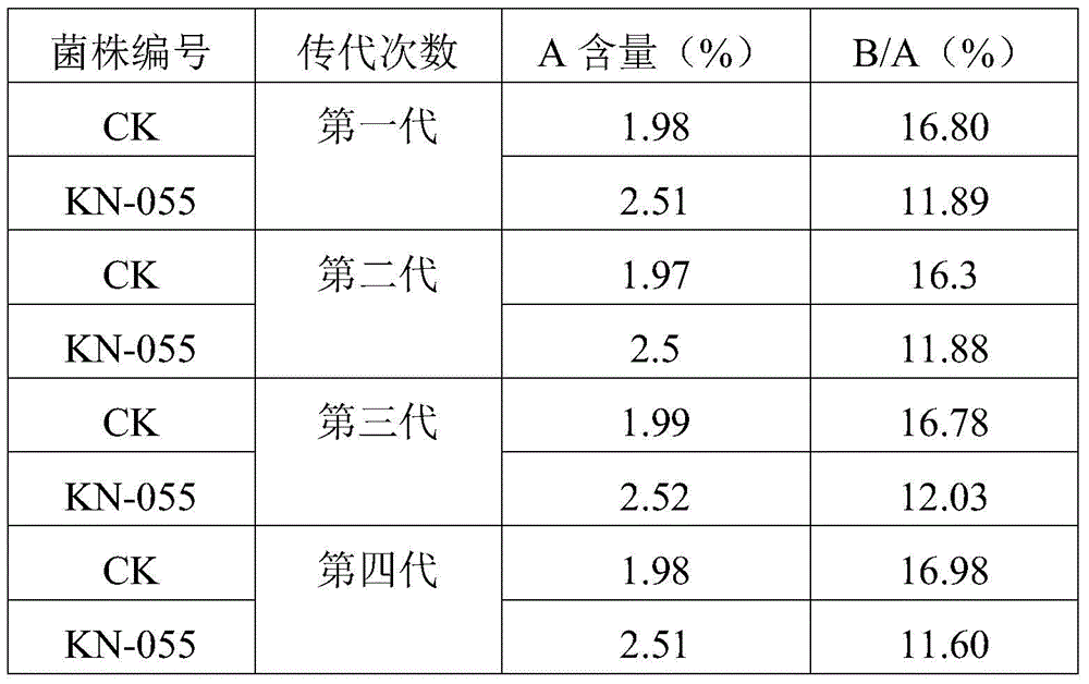 Streptomyces hygroscopicus for producing validamycin and application of streptomyces hygroscopicus