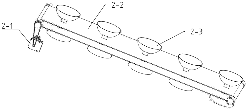 Automatic cutting and separating device for cauliflower