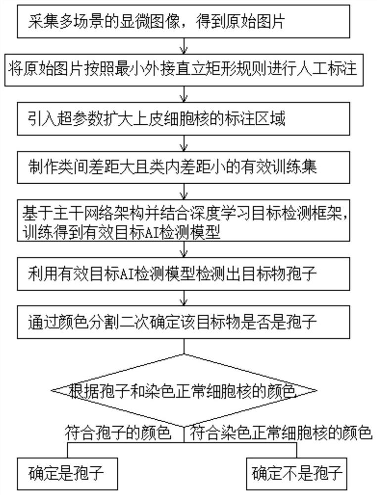 A detection and identification method, equipment and storage medium for spores in gynecological microecology