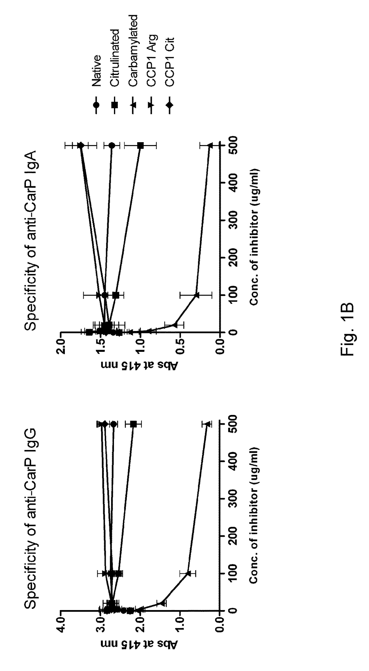 Anti-carbamylated protein antibodies and the risk for arthritis