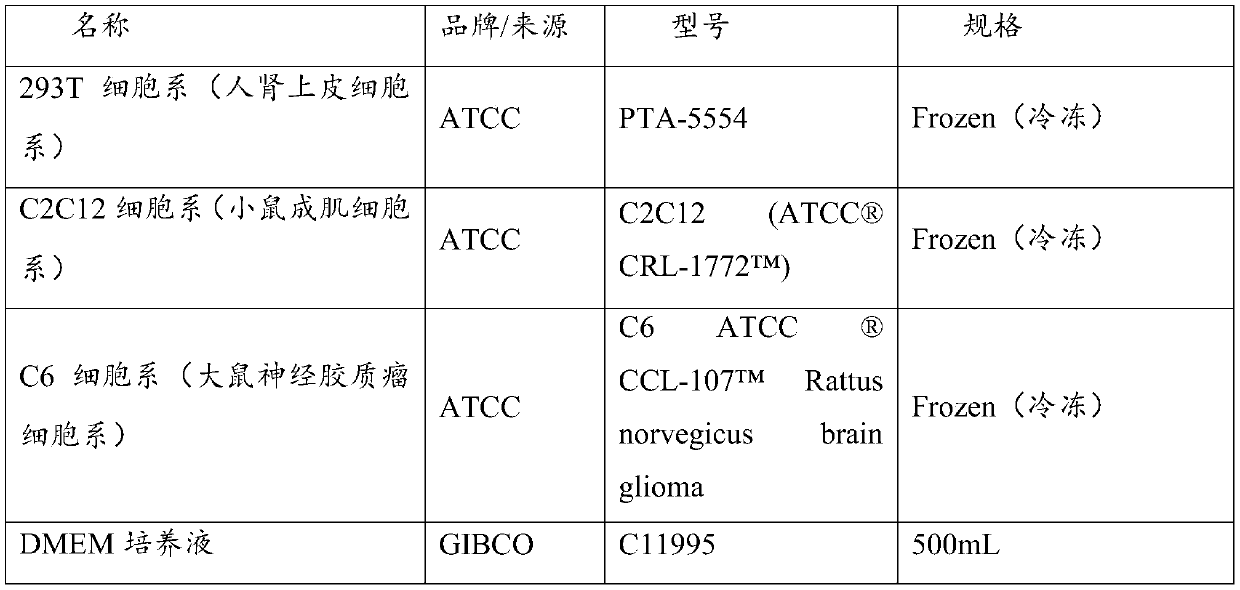 Reverse transcription primer pool for removing rRNA, kit and method for removing rRNA