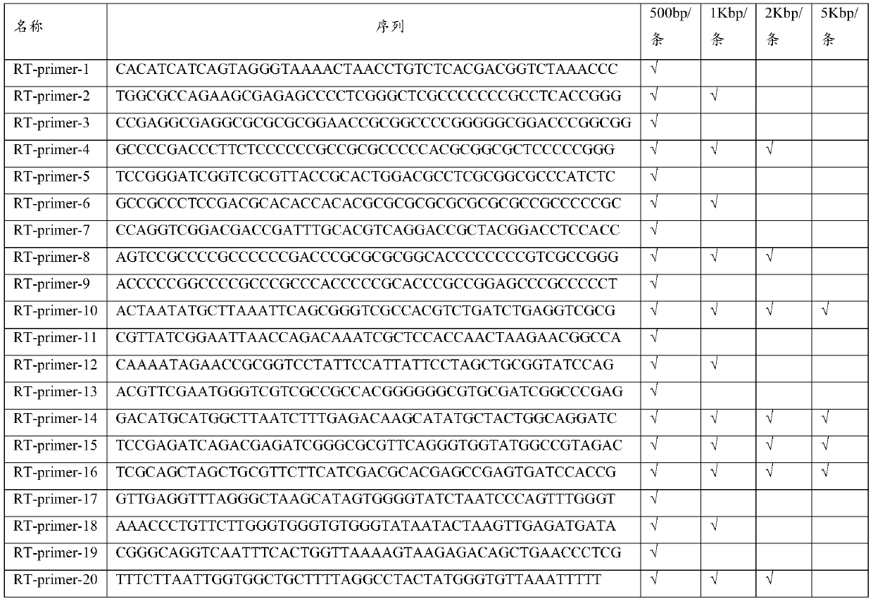 Reverse transcription primer pool for removing rRNA, kit and method for removing rRNA