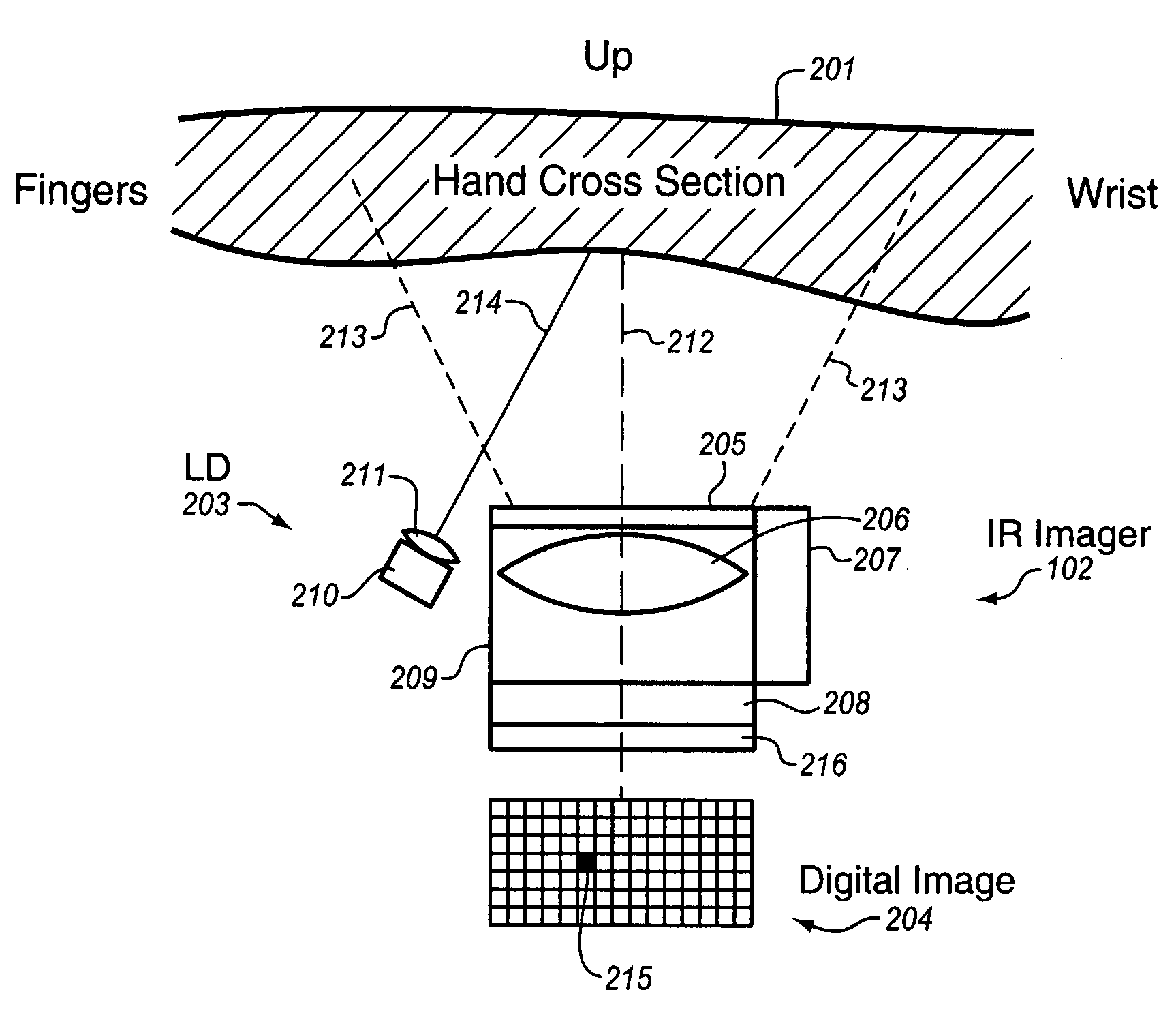 Method and apparatus for biometric identification