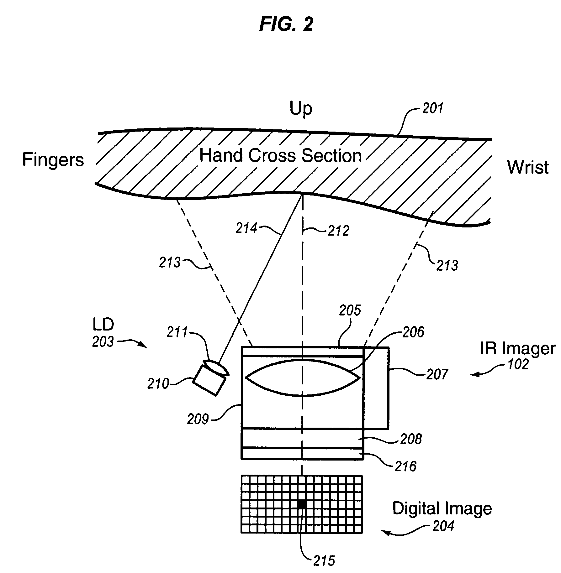 Method and apparatus for biometric identification