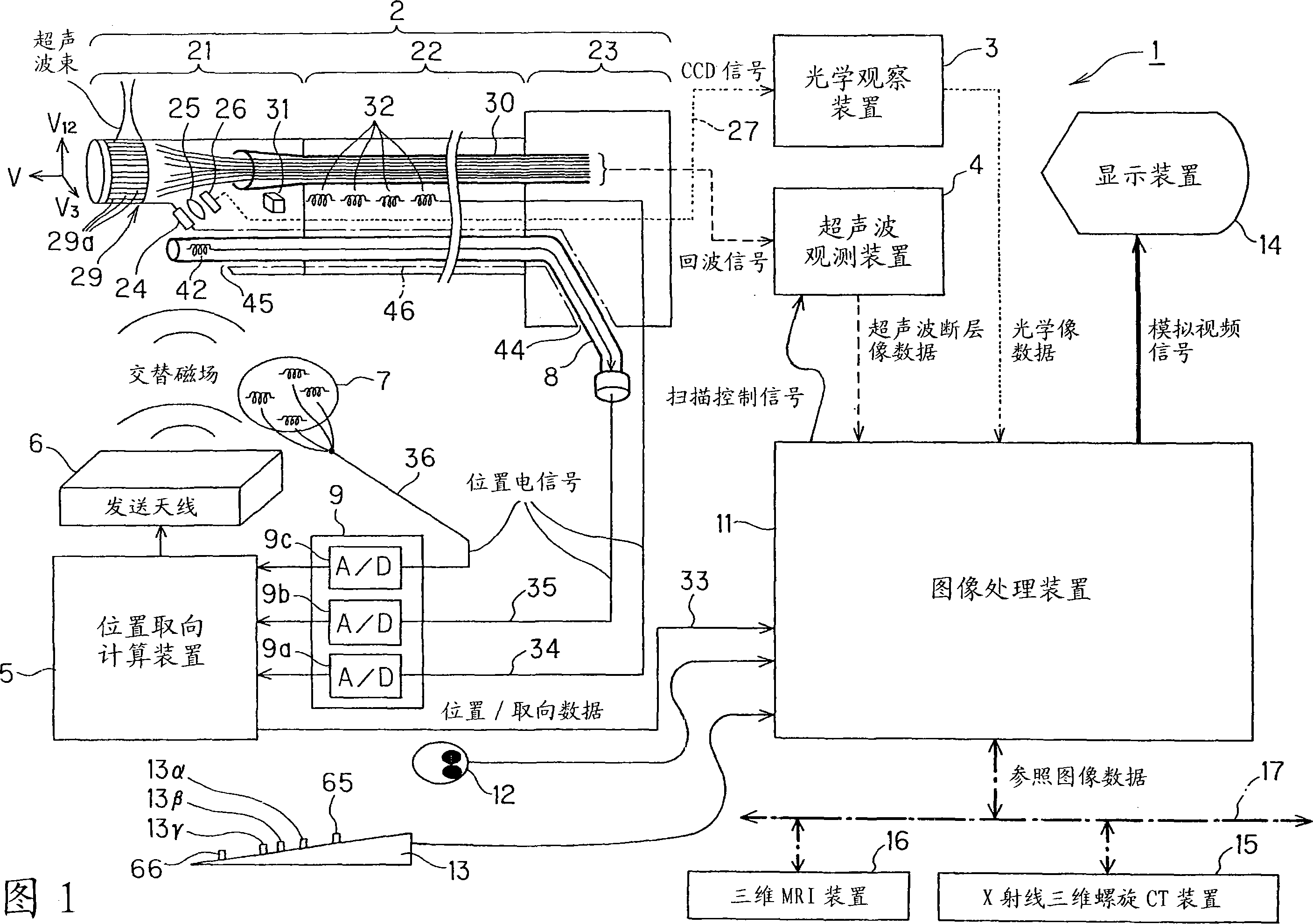 Body cavity probe apparatus