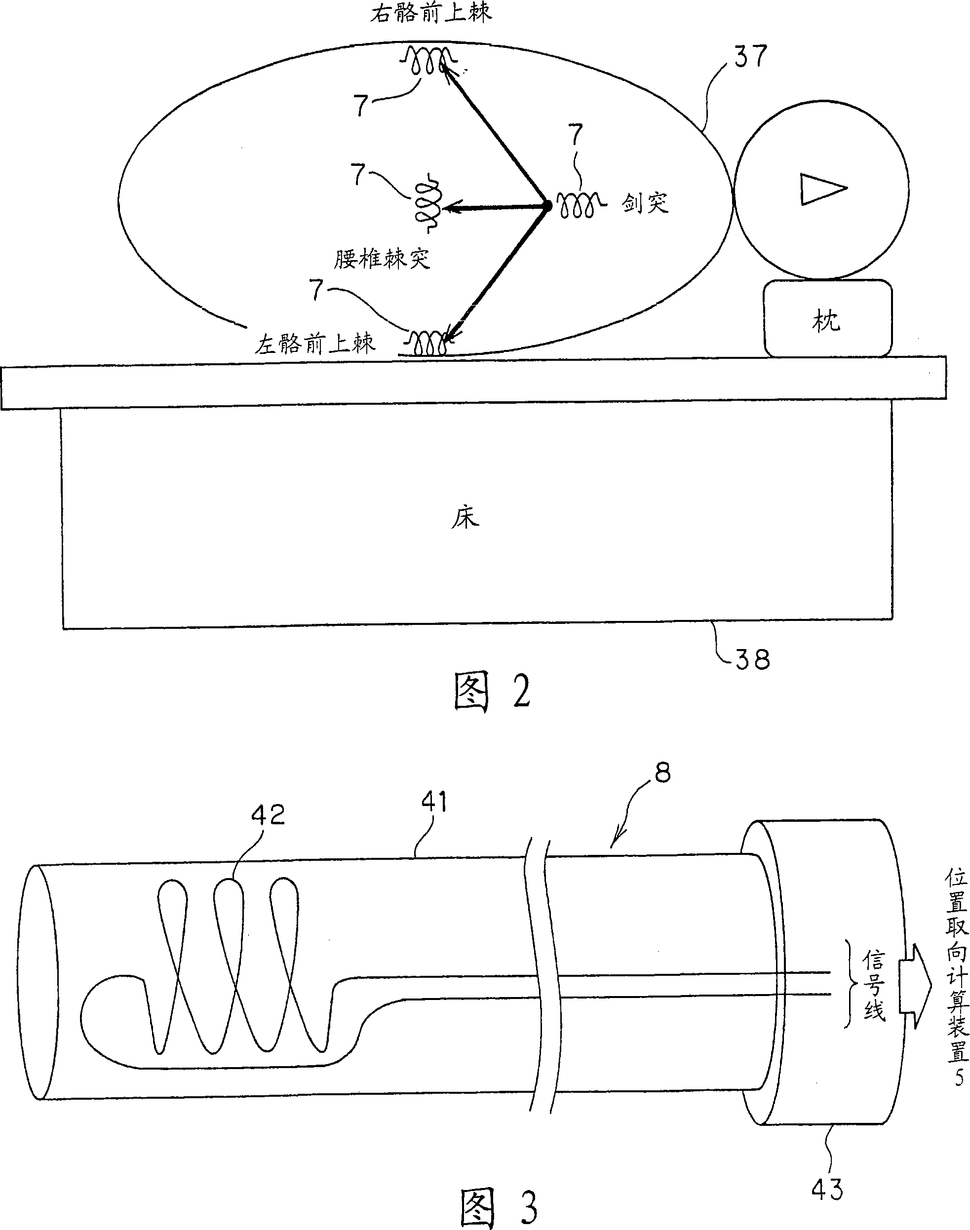 Body cavity probe apparatus