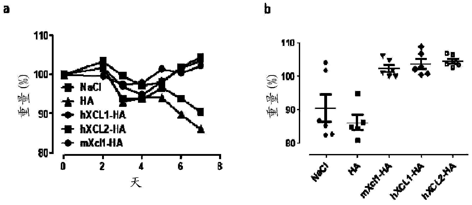 Vaccibodies targeted to cross-presenting dendritic cells